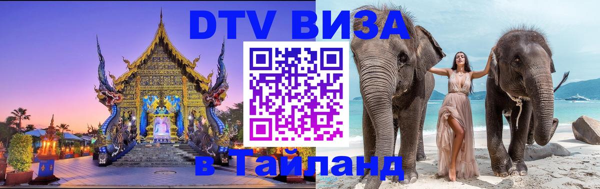 Сколько стоит DTV виза — актуальные цены, оформление даже без документов - 19.11.2025 